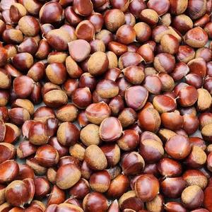 Châtaignes fraîches de qualité supérieure 30-80 en vrac/carton à prix de gros Châtaignes sucrées brutes SinoFarm Stock disponible Livraison rapide - Product Image 1