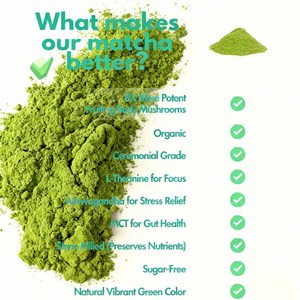 مسحوق فطر الماتشا الأخضر بالجملة، شاي أخضر، أشواغاندا لدعم صحة الدماغ والأمعاء والمناعة وتخفيف التوتر - Product Image 6