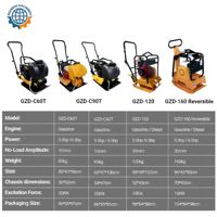 Compacteur de plaques à moteur essence pour sols, vente directe usine
