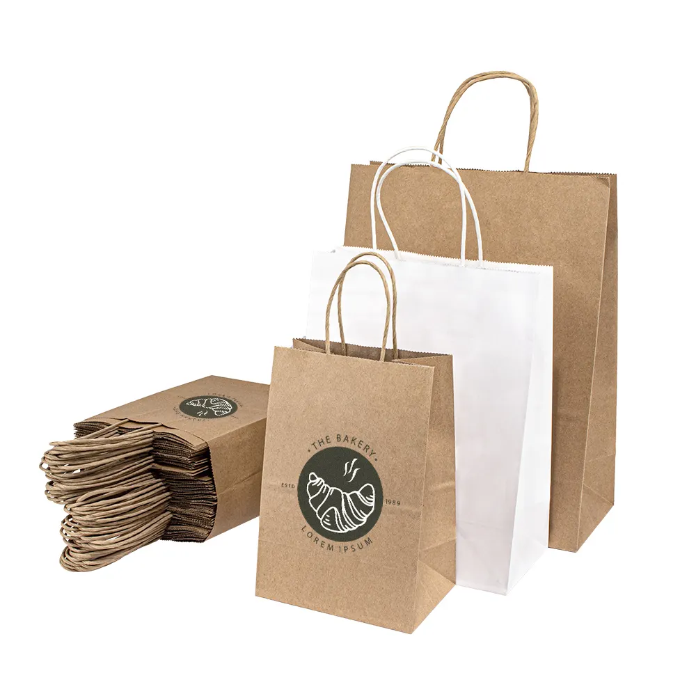 China Manufacturer Small Green Black Luxury Brand Clothing Gift Packing Custom Print Paper Shopping Bags with Your Own Logo