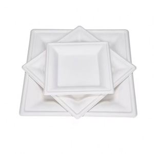 Platos Cuadrados Desechables de Bagazo de Caña de Azúcar Naturales y Saludables de 10 Pulgadas para Catering y Eventos en Casa - Product Image 1