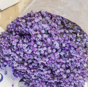 Flores secas de cielo estrellado para decoración del hogar, flores secas para decoración del hogar, fabricantes de accesorios al por mayor - Product Image 6