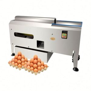 Machine à peler les œufs automatique en acier inoxydable, pour œufs durs - Product Image 5