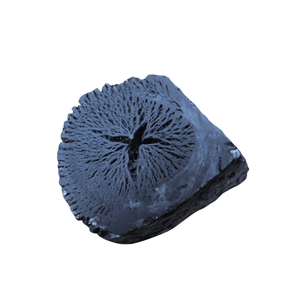 Coquille de noix de coco écologique sciure de bois de charbon noir Vietnam haute compression sans fumée 4-6 heures brûlant 7300J calories pour le camping - Product Image 1