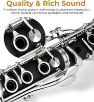 Vente directe d'usine, clarinet en résine ABS de haute qualité, instruments de musique en Si bémol