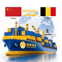 Agent maritime fiable pour la Pologne, services logistiques, transitaire Chine-Varsa, fret maritime et aérien DDP, services mondiaux DDP