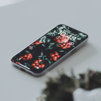 Disponible en Stock, iPhone 15 Usado, Desbloqueado, Original, Versión Estadounidense, 6GB de RAM, Alta Calidad, 5G, Grado A+, 100% de Batería, Buen Estado, 6.1 Original