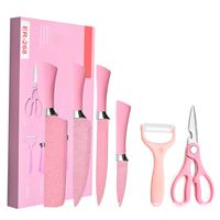 Vente directe d'usine, logo personnalisé, couteau en acier inoxydable 3CR13 bleu rose, ensemble de six couteaux ambidextres avec manches en plastique écologiques