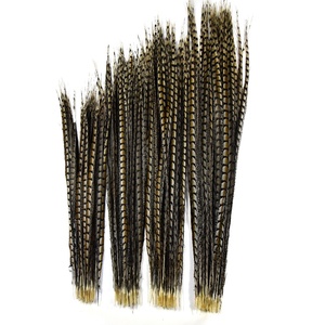 Plumas Naturales Marrones de Cola Larga, <span class=keywords><strong>Pluma</strong></span> Artificial de Faisán para Fiestas, Carnaval, Decoración del Hogar, Bodas, Jarrones, Manualidades, Disfraces - Product Image 5