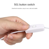 Hochwertiges 5V USB-A-Stecker auf offenes, verzinntes Kabel mit EIN/AUS-501-Druckschalter-Stromverlängerungskabel für LED-Lichtstreifen und Lampen
