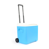 Glacière isotherme portable 30L moderne avec roues et poignée pour le camping, maintien de la glace pendant 48h
