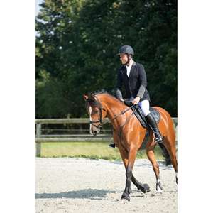 Plastron et martingale pour cheval et poney Romeo, noir - Product Image 2