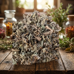 Feuilles de basilic tulsi naturelles et sacrées, thé aux herbes, plantes avec feuilles et graines séchées pour l'approvisionnement en produits ayurvédiques de bien-être sous marque privée - Product Image 3