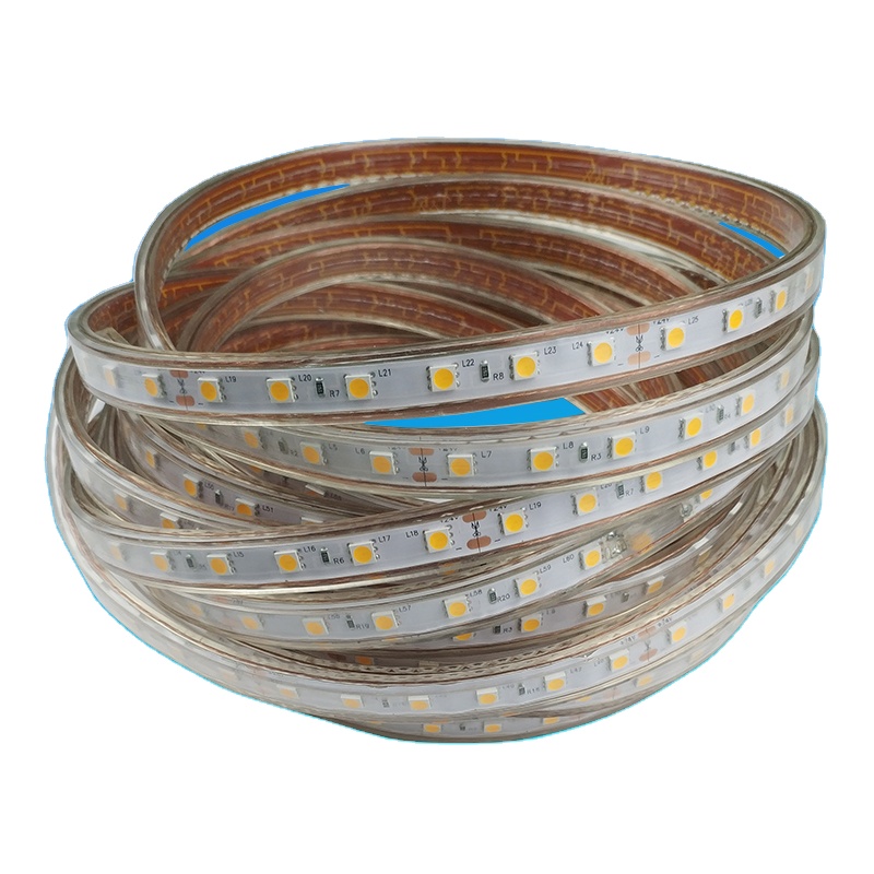 Outdoor Waterproof LED Light Strip 24V 36V Bright PVC Body IP65 Rating Landscape High Mast Lights Decorative 12V 5050 Light