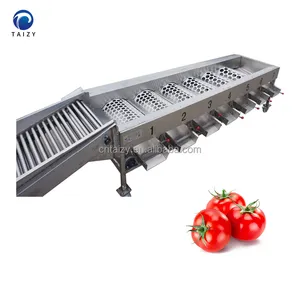 Fruit And Vegetable Sorter Apple Sorting Machine Tangerine Mandarin Orange Grading Machine