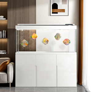 Grand aquarium domestique de 300 gallons personnalisable en gros Aquarium Arowana en verre transparent ultra blanc avec système de filtration - Product Image 1