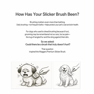 Brosse de toilettage en bois Waggers pour animaux de compagnie, peigne à grain naturel, sûre pour chats et chiens, outil de massage et de démêlage, utilisation domestique sans douleur - Product Image 5