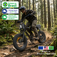 Vélo électrique ZUMI US 20 pouces à vitesse unique, cadre en acier à haute teneur en carbone, pneus larges, 48V 1000W, pour adultes, vente en gros B2B directe usine