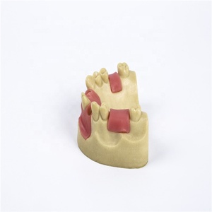 การสอนเข่า implant Model - Product Image 3
