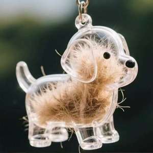 Mignon <span class=keywords><strong>Chiot</strong></span> Chat Chien Forme Porte-clés Boîte De Rangement Transparente pour Poils D'animaux Creative Pet Apparel Accessoire avec Pendentif Design - Product Image 3