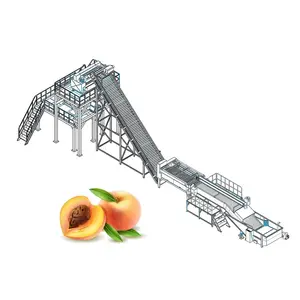 Équipement de traitement de jus de pêche machine à pulpe de jus de pêche machines pour la production de jus de fruits