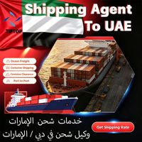 Agente de Transporte Marítimo en los Emiratos Árabes Unidos, Transitario del Aeropuerto Internacional de Al Maktoum, Transporte Marítimo Internacional, Transporte Aéreo Internacional