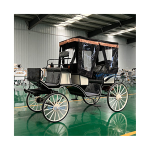 Charrette de chevaux électrique pour visites touristiques, charrette de chevaux royale pour mariage à vendre - Product Image 1