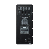 Carte amplificateur RQSONIC ADA Module amplificateur audio professionnel de classe D pour haut-parleur actif