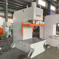 Prensa Hidráulica de Columna Única Tipo C de 20T/40T/60T/100T/200T para Conformado de Metales de Precisión y Ensamblaje de Componentes
