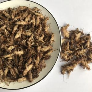 Fissures alimentaires alimentaires pour animaux de compagnie, prix de gros, bouillettes séchées, insectes <span class=keywords><strong>comestibles</strong></span>, alimentaires - Product Image 3