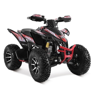 Tao Motor 2024 Nouveau ATV 250cc 4x4 Cuatrimoto - Product Image 2