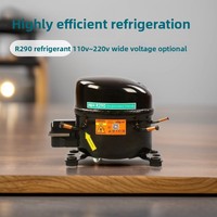 Compresseur de réfrigération haute efficacité utilisant le réfrigérant R290, fourni par l'usine pour les déshumidificateurs, les réfrigérateurs et les entrepôts frigorifiques