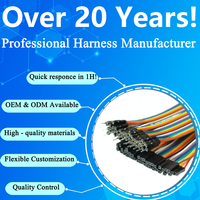 دوبونت ، 2 Pitch ODM OEM مخصص 3 4 5 6 7 8 9 10 40 دبوس Dupont2.54 ذكر أنثى أسلاك كابل توصيل