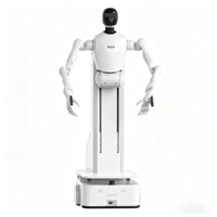 Brazo Robótico Móvil de Alto Rendimiento, Robot Humanoide con Base de Ruedas Omnidireccionales para Operaciones Industriales