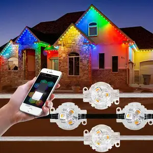 30MM led ad alta luminosità 12V 24V 48V UCS2904 RGBW punto luminoso colorato IP68 Led natalizio impermeabile