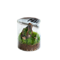 Vas Bunga Terrarium Kaca Silinder Klasik - Dekorasi Rumah Ramah Lingkungan Kualitas Premium untuk Pernikahan atau Hadiah