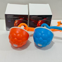 Automatischer Richtungswechsel Vogelgeräusch Licht Vibration Indoor Jagdspielzeug Hindernisvermeidung Hundespielball