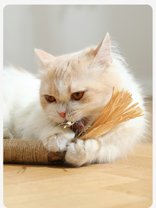 Productos ecológicos para gatos al por mayor, juguetes para masticar mascotas para Limpieza de dientes, palo de hierba gatera Matatabi Natural grueso <span class=keywords><strong>Silvervine</strong></span> - Product Image 3