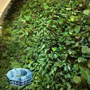 Proveedor Chino de Jardín Artificial Vertical Hidropónico para Colgar en la Pared - Product Image 2