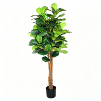 Pohon Fiddle Leaf Fig dengan Detail Bunga yang Konsisten Memberikan Tampilan Terpadu di Berbagai Lokasi Proyek