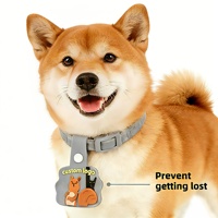 Großhandel Maßgefertigtes PVC-Haustier-ID-Tag mit QR-Code Edelstahl-Haken zur Identifizierung von Hunden und Katzen Haustier-ID-Anhänger