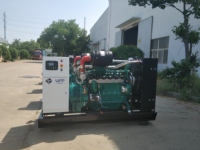 10KW-1000KW Biogas- & Erdgas-Generator mit 24V DC Start, Wassergekühlt für Industrielle Anwendungen