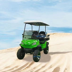 Carrito de Golf Eléctrico Personalizado 2025 con Certificación CE, Vehículo Eléctrico Potente para 4 Pasajeros, Turismo con Más Estilo - Product Image 3