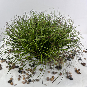 Cao Cấp Thực Tế Nhân Tạo Hành Tây Cỏ Giả Cây Xanh Nhà Máy Cho Nhà Hoặc Văn Phòng Hiển Thị Cao Cấp Hoa Nhân Tạo - Product Image 4