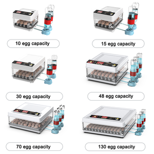 130 Capacity Full Automatic Egg Incubator Egg Hatcher for Poultry Farm Use - Product Image 6