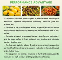 Extracteur de jus de fruits extracteur de jus commercial extracteur de jus presse à froid presse-agrumes commercial presse-agrumes lent