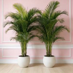 2 künstliche Palmen |   Realistische tropische Pflanzen mit üppigen grünen Blättern, wartungsfrei für Innen-/Außendekoration - Product Image 3