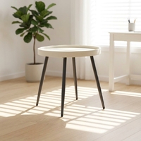 Meubles de maison modernes, nouvelle table basse avec plateau en PP et pieds en métal pour le salon