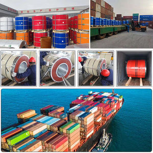 Suministro del fabricante DX51D DX52D RAL9002 personalizado 0,15mm 0,25mm 0,43mm grueso RAL recubierto de color prepintado <span class=keywords><strong>PPGI</strong></span> PPGL bobina - Product Image 5