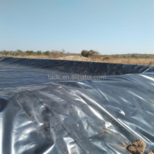 1,0mm 2mm 1,5mm HDPE vertedero lago Artificial Liner Dam Liner a prueba de fugas Geomembrana estanque <span class=keywords><strong>Iner</strong></span> precio - Product Image 4